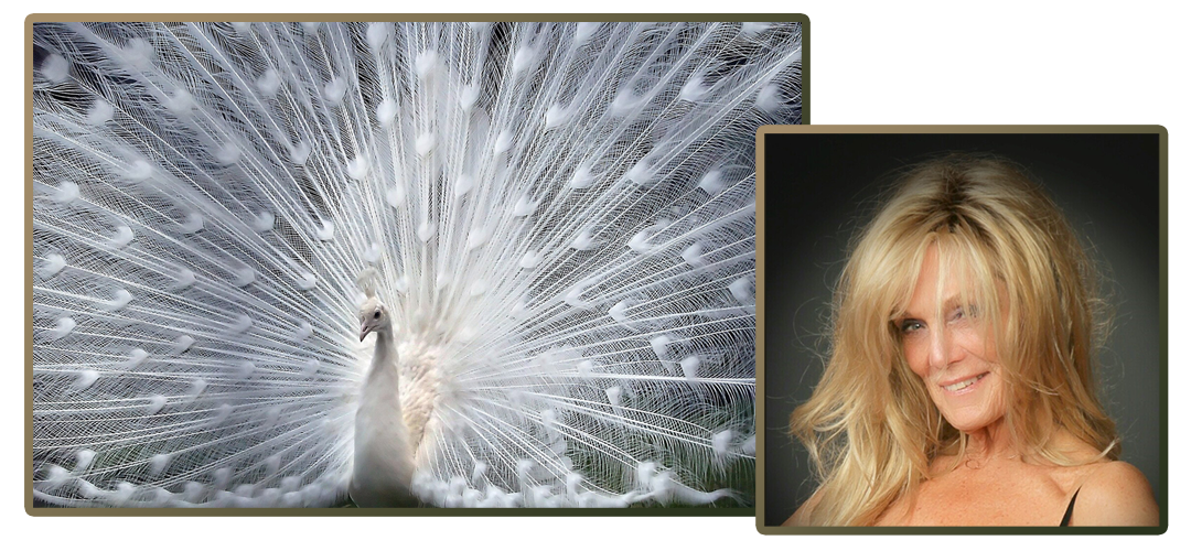 white peacock and woman